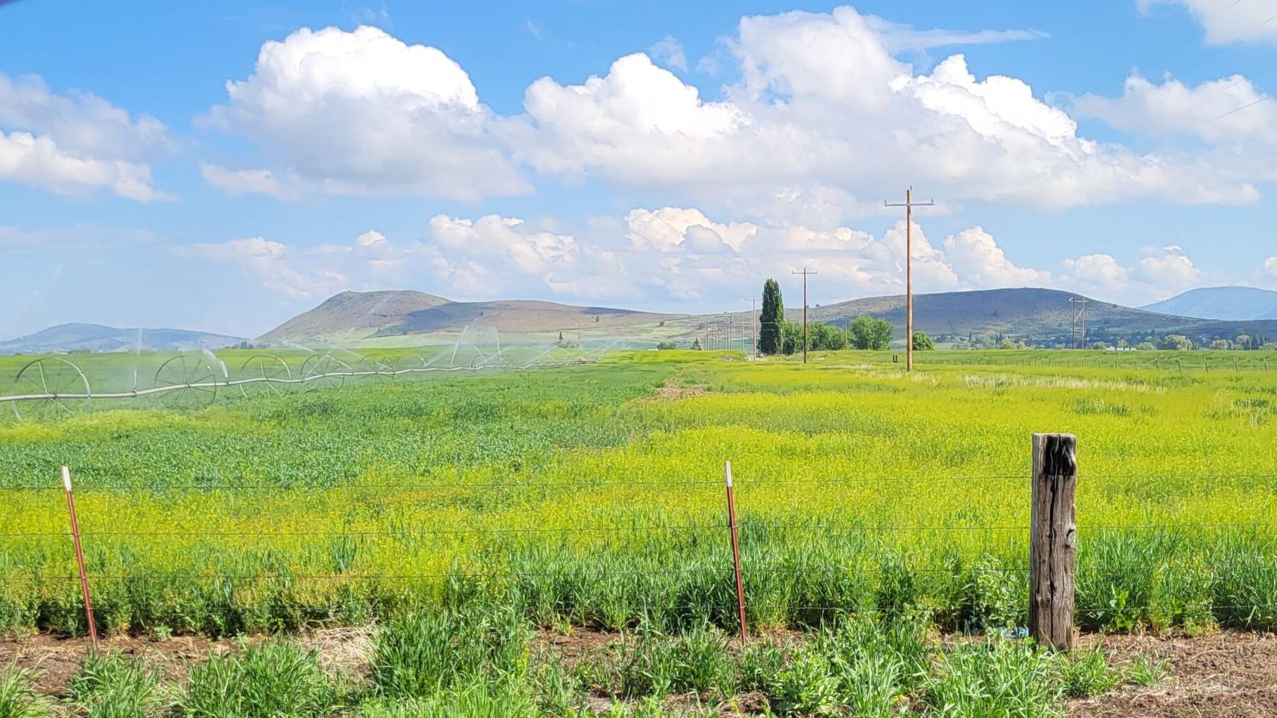 Spend water like money: Modoc, Siskiyou, Klamath County governments, water users go to bat for ag water supplies